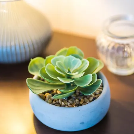 Siesta Sziget - Balaton-parti Siófok