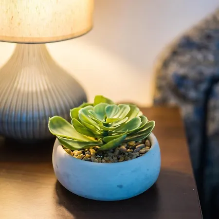 Siesta Sziget - Balaton-parti Apartament *