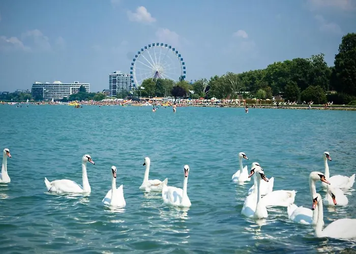 Siesta Sziget - Balaton-parti Apartment